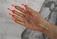La mano de teja (walongzhang 瓦壟掌)
