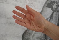 La mano de teja (walongzhang 瓦壟掌)